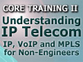 Course 110: Understanding IP Telecom: IP, VoIP and MPLS for Non-Engineers.  Second in the core training series.