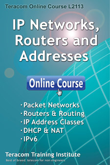 Free Intro Lesson - IP Networks, Routers and Addresses
