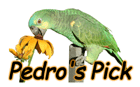 Pedro (our office parrot) picks his favourite product, service or special offer