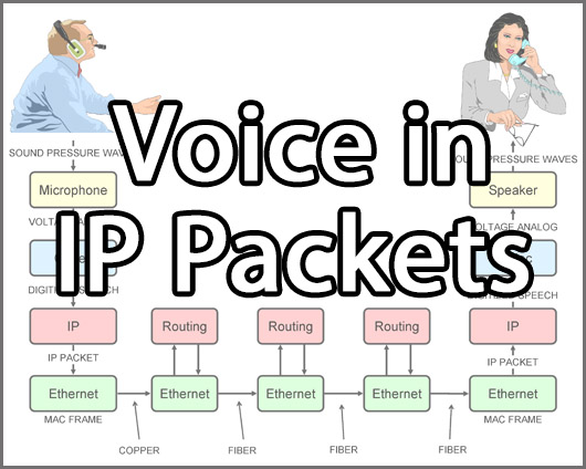 Course 2221 Lesson 3 Voice in IP Packets