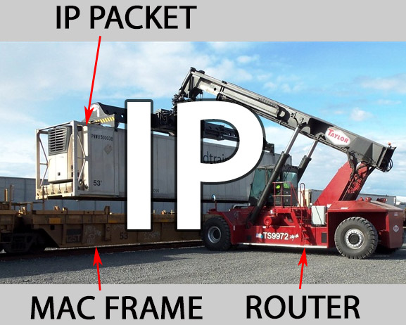 Course 2213 IP Networks, Routers and Addresses