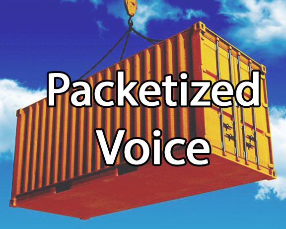Course 2224 Voice Packetization, Codecs and Voice Quality