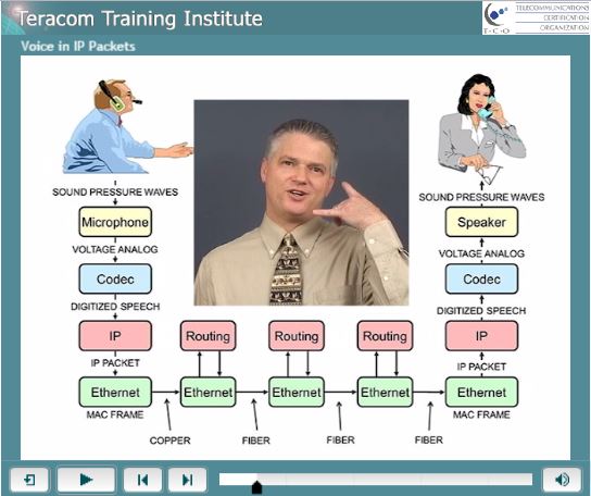 Free Lesson: Voice in IP Packets