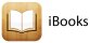 buy iBook on itunes store