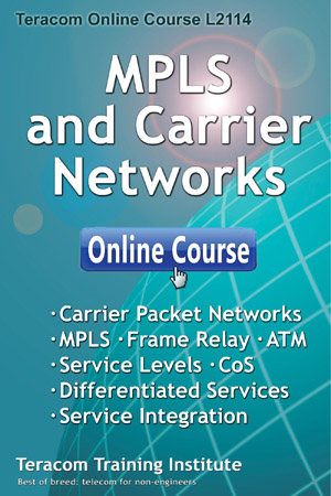 MPLS and Carrier Networks