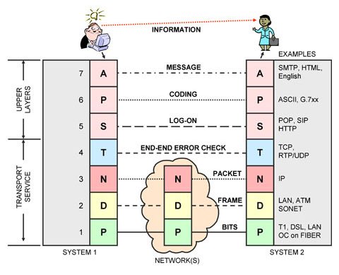 OSI Layers and Protocol Stacks
