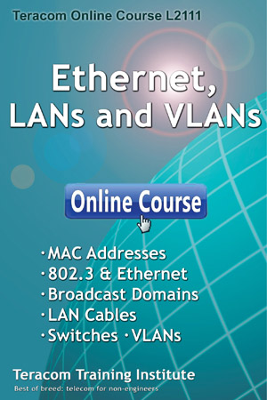 Online Course L2111 Ethernet, LANs and VLANs - Introduction - Free Lesson