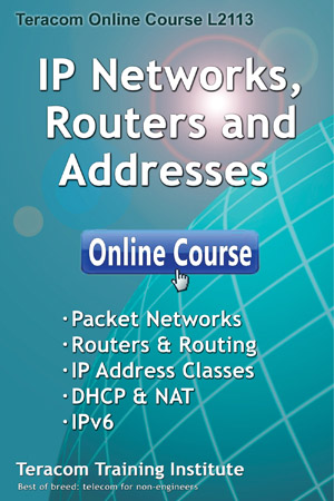 Course 2213 IP Networks, Routers and Addresses - Introduction - Free Lesson