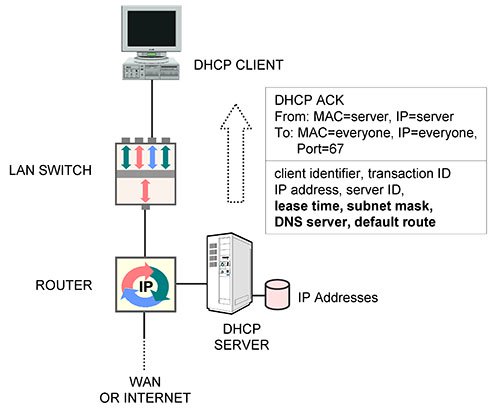 Client port